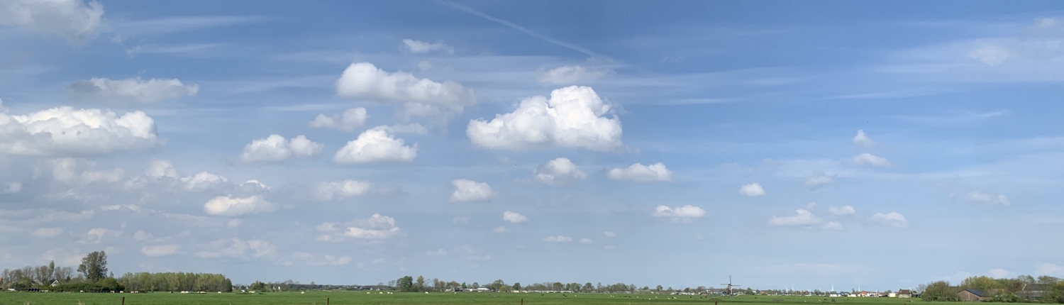 Polder